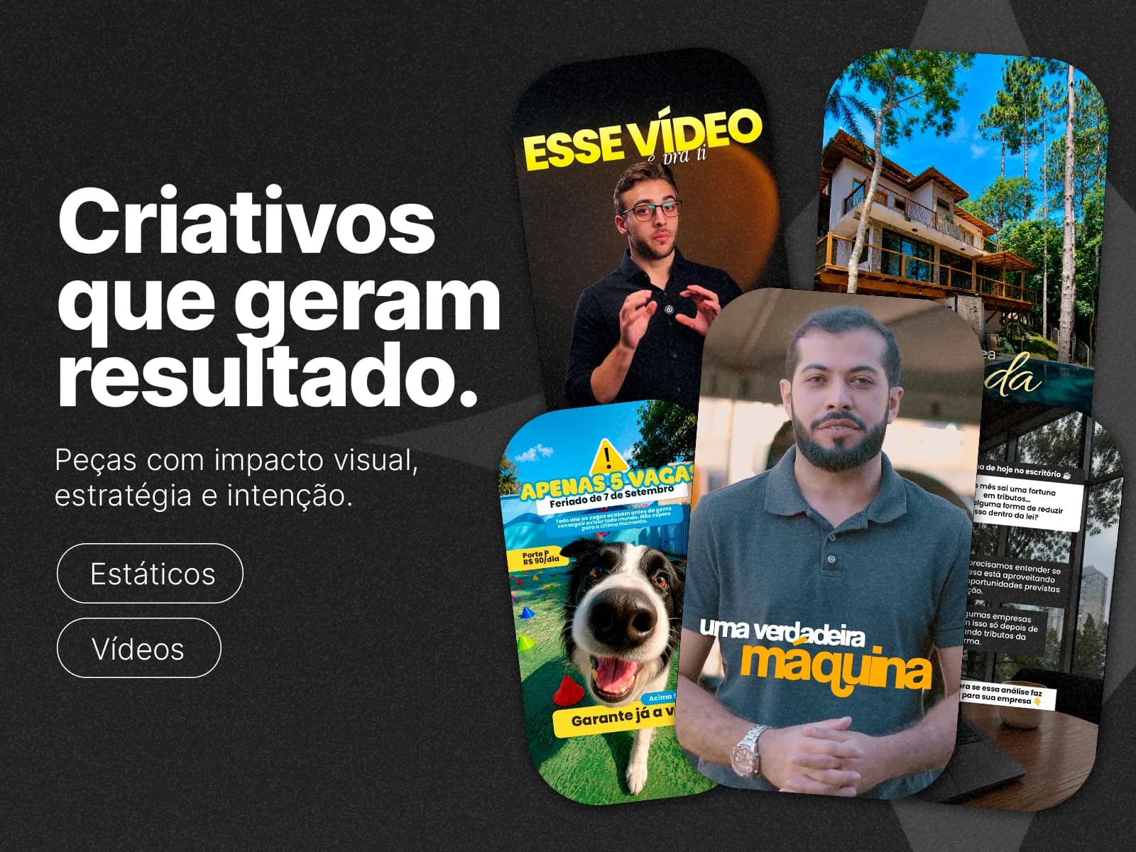 Criativos